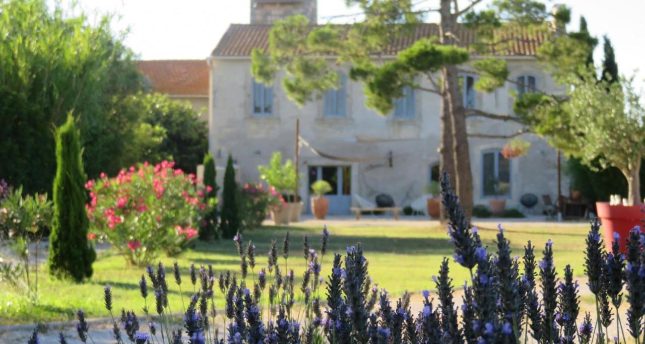 Maison Tara verte au Mas Montredon Arlés Exterior foto