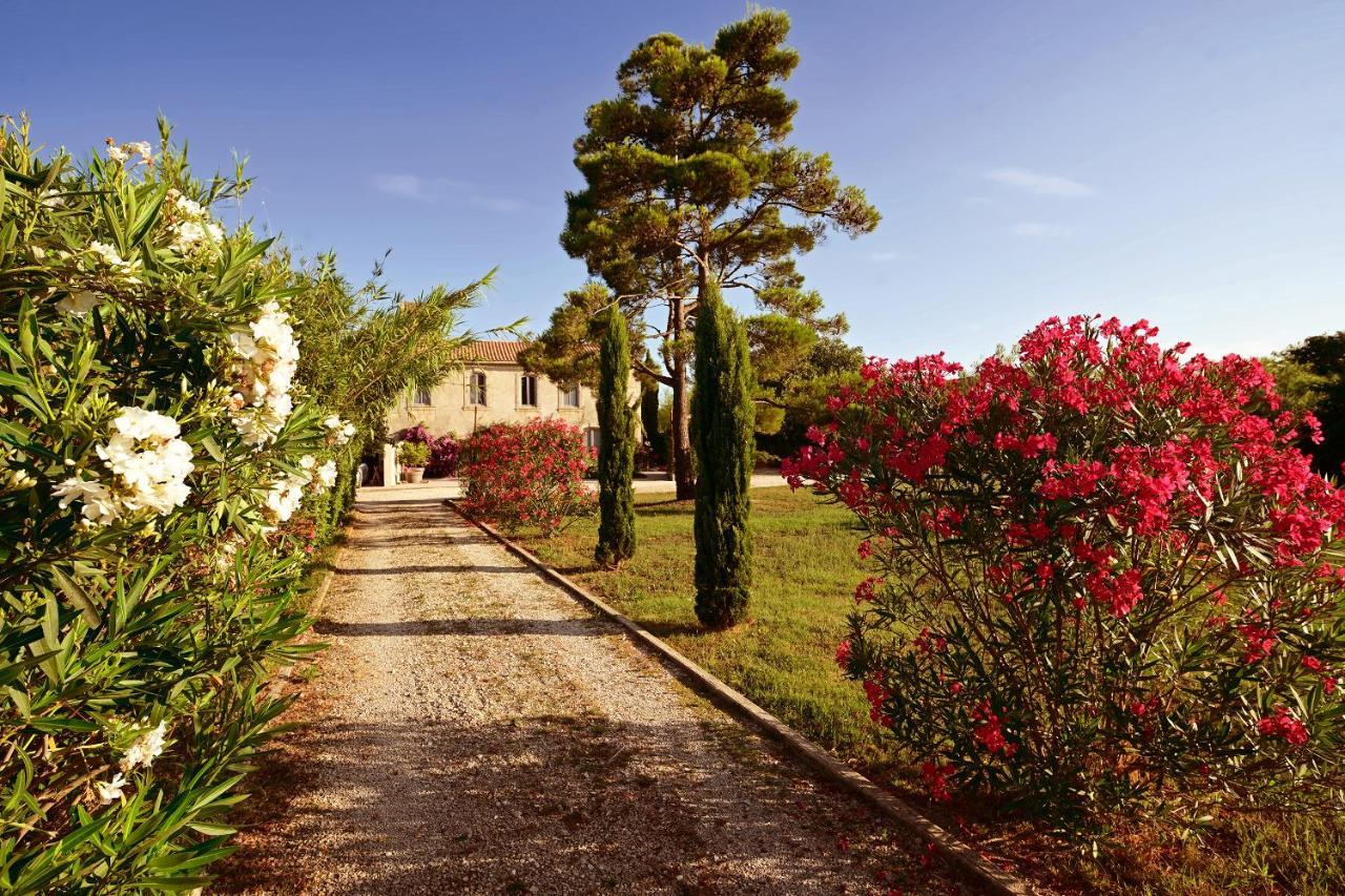 Maison Tara verte au Mas Montredon Arlés Exterior foto
