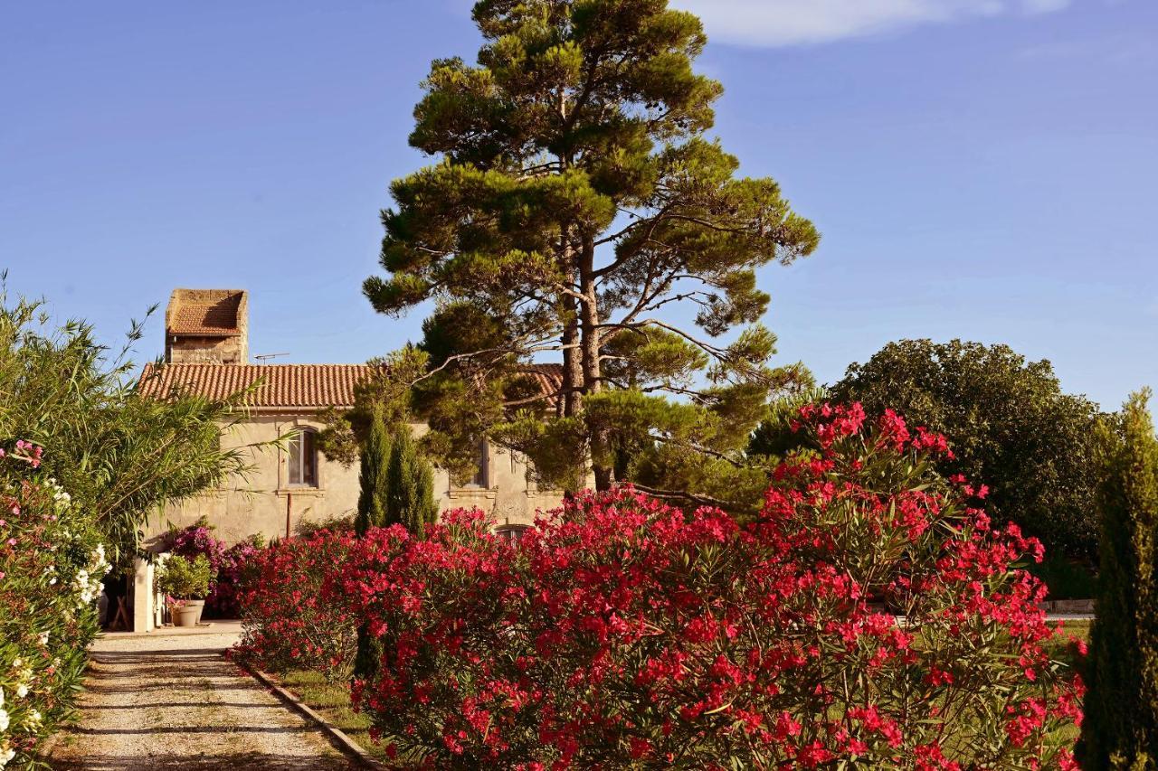 Maison Tara verte au Mas Montredon Arlés Exterior foto