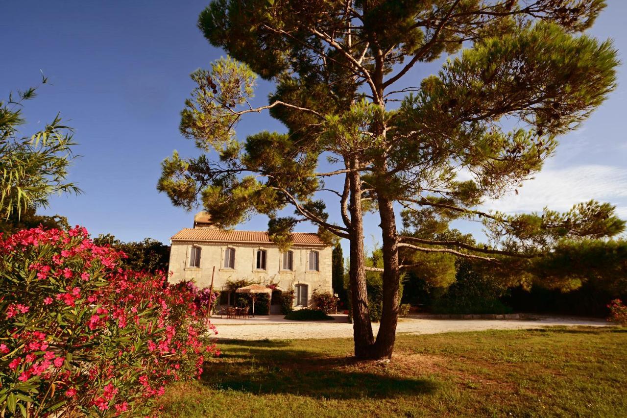 Maison Tara verte au Mas Montredon Arlés Exterior foto