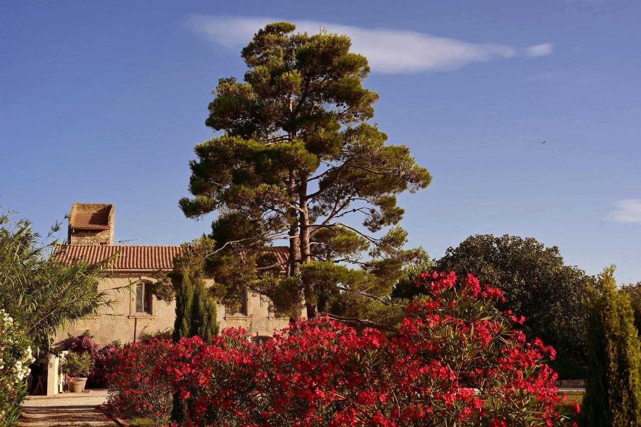 Maison Tara verte au Mas Montredon Arlés Exterior foto