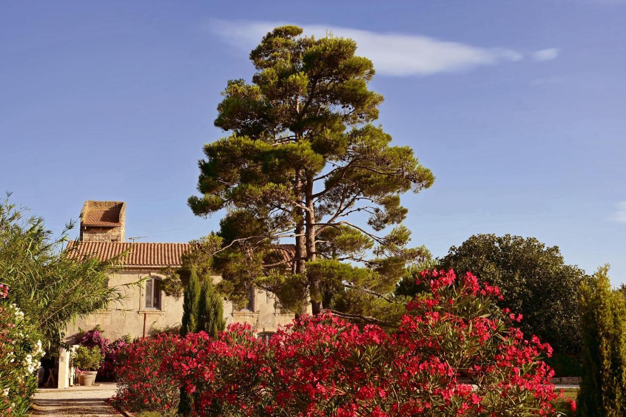 Maison Tara verte au Mas Montredon Arlés Exterior foto