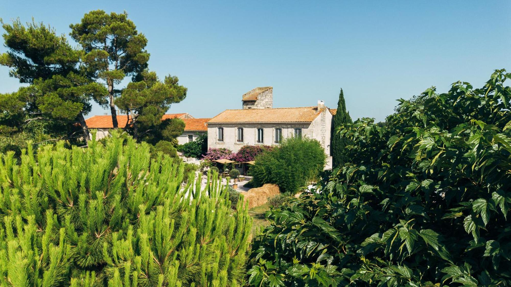 Maison Tara verte au Mas Montredon Arlés Exterior foto